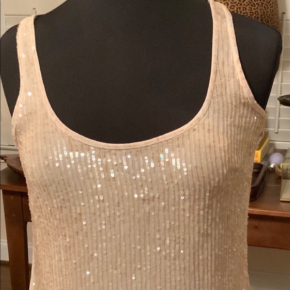 J. Crew Lightly Sequined Beige/Gold Top🌟Size 2 - Picture 7 of 14